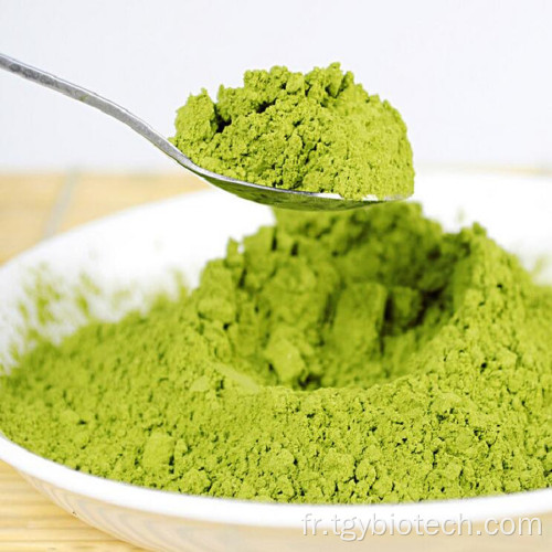 Matcha Tea Powner Organic Matcha Green Tea Powder